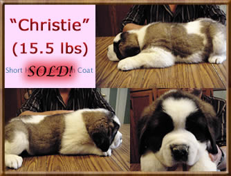 Christie 6 wks